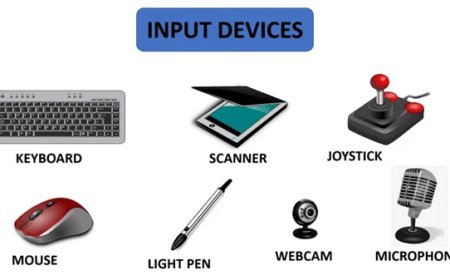 WHAT IS INPUT DEVICES?
