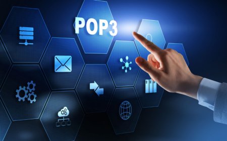 WHAT IS INTERNET PROTOCOL ?